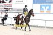 Springreiterwettbewerb