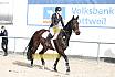 Springreiterwettbewerb