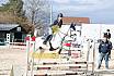 Springreiterwettbewerb
