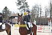 Springreiterwettbewerb