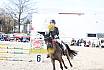 Springreiterwettbewerb