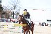 Springreiterwettbewerb
