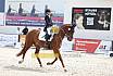 Sonntag Dressur Reiter L