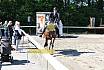 Samstag Springreiterwettbewerb