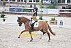 Do Pony Dressur L