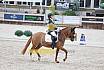Do Pony Dressur L