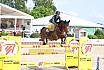 Sonntag Finale Amazonen