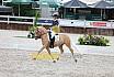Do Pony Dressur L