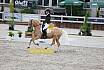 Do Pony Dressur L