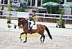 Do Pony Dressur L
