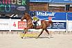 Montag Kids Cup 1 