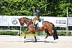 Freitag Reitpferdepr&uuml;fung