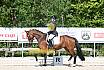 Freitag Reitpferdepr&uuml;fung