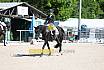 Freitag Reitpferdepr&uuml;fung