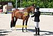 Freitag Reitpferdepr&uuml;fung