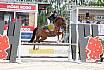 Sa Pony A