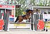 Sa Pony A