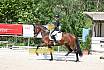 Freitag Reitpferdepr&uuml;fung