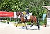 Freitag Reitpferdepr&uuml;fung