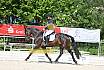 Freitag Reitpferdepr&uuml;fung
