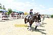 So F&uuml;hrz&uuml;gel
