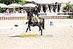 Fr S zwei Sterne Dressur