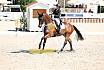 Fr S zwei Sterne Dressur