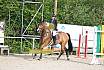 Sonntag Stilspringwettbewerb