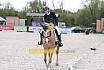 Sonntag Dressurreiter A 