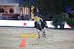 Freitag CSI 2* Abend 