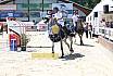 Samstag mittlere Tour