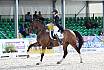 Samstag Junge Reiter Finale