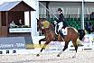 Samstag Junge Reiter Finale