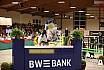 FR BW Bank Springen