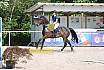 Freitag Springpferde A1