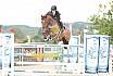 Sonntag Zwei Phasen S Youngster