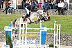 Sonntag Zwei Phasen S Youngster