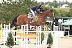 Sonntag Zwei Phasen S Youngster