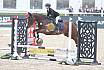 Springreiterwettbewerb