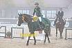 Springreiterwettbewerb