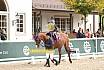 F&uuml;hrz&uuml;gel