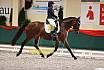 Sa A Dressur