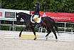 Freitag Reitpferdepr&uuml;fung