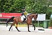 Freitag Reitpferdepr&uuml;fung