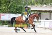 Freitag Reitpferdepr&uuml;fung
