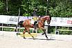 Freitag Reitpferdepr&uuml;fung