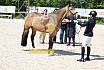 Freitag Reitpferdepr&uuml;fung