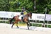 Freitag Reitpferdepr&uuml;fung