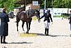 Freitag Reitpferdepr&uuml;fung