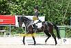 Freitag Reitpferdepr&uuml;fung